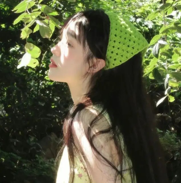 卧虎藏龙封面